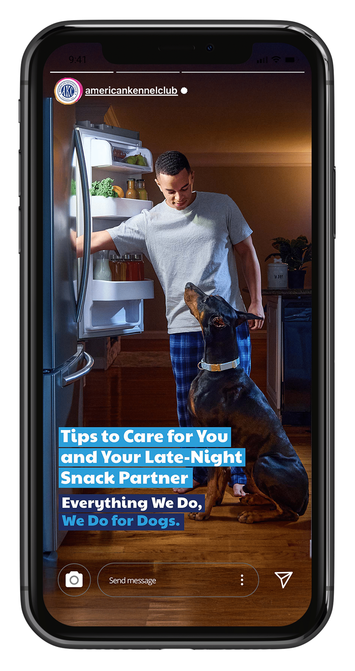 AKC Phone V2