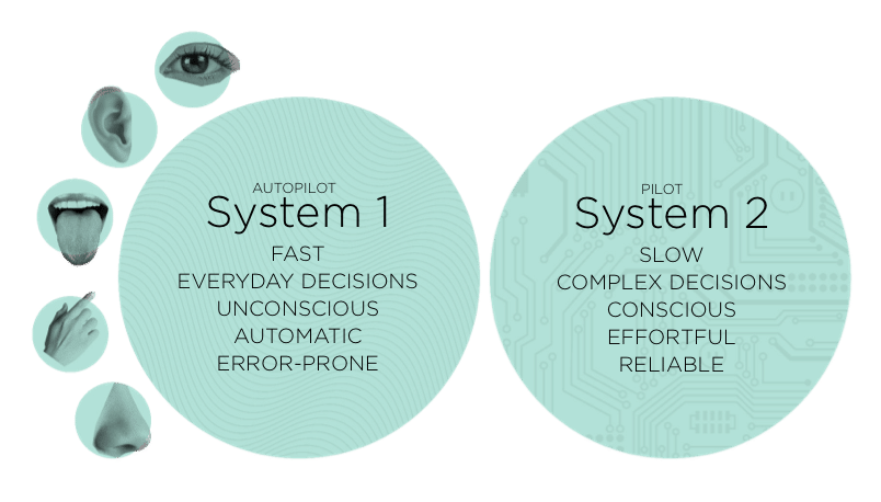 Circles infographic