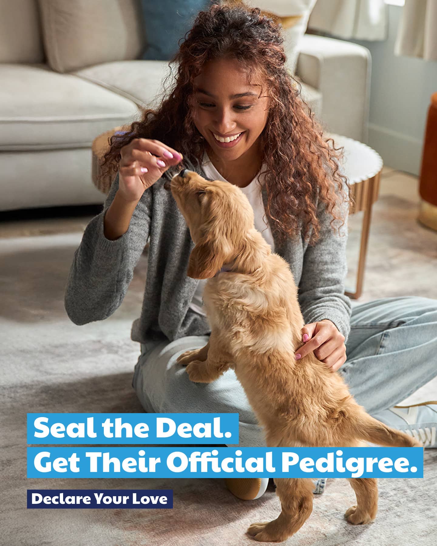 Pedigree