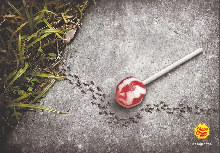 ants going around a lollipop